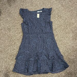 NWT Loft Dress